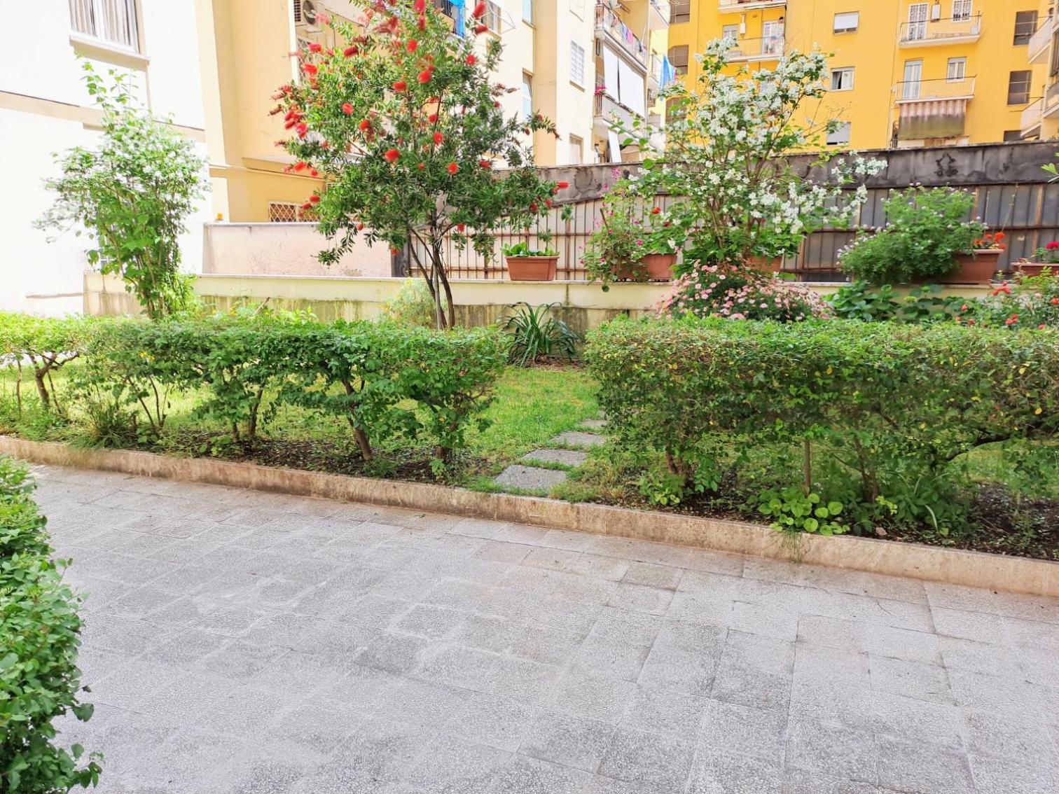 Comfort Good Location Apartamento