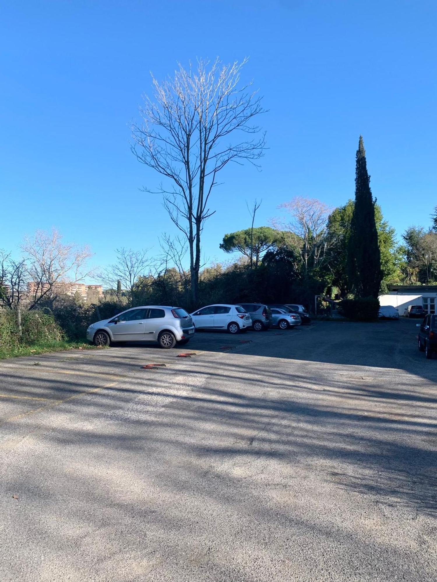 Apartment Aurelia House Garden Rom