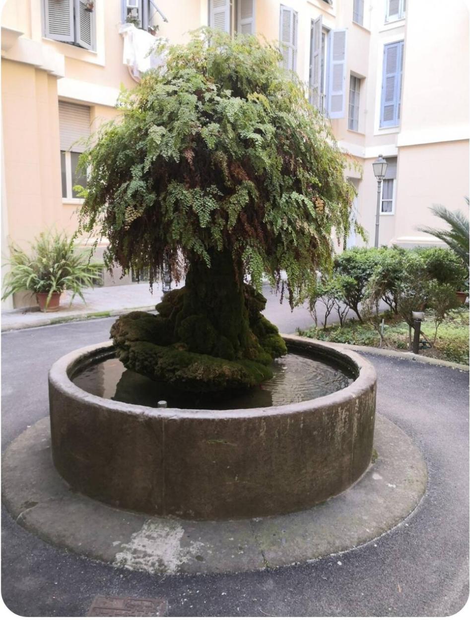 Quarto em Acomodações Particulares Unconventional Roma