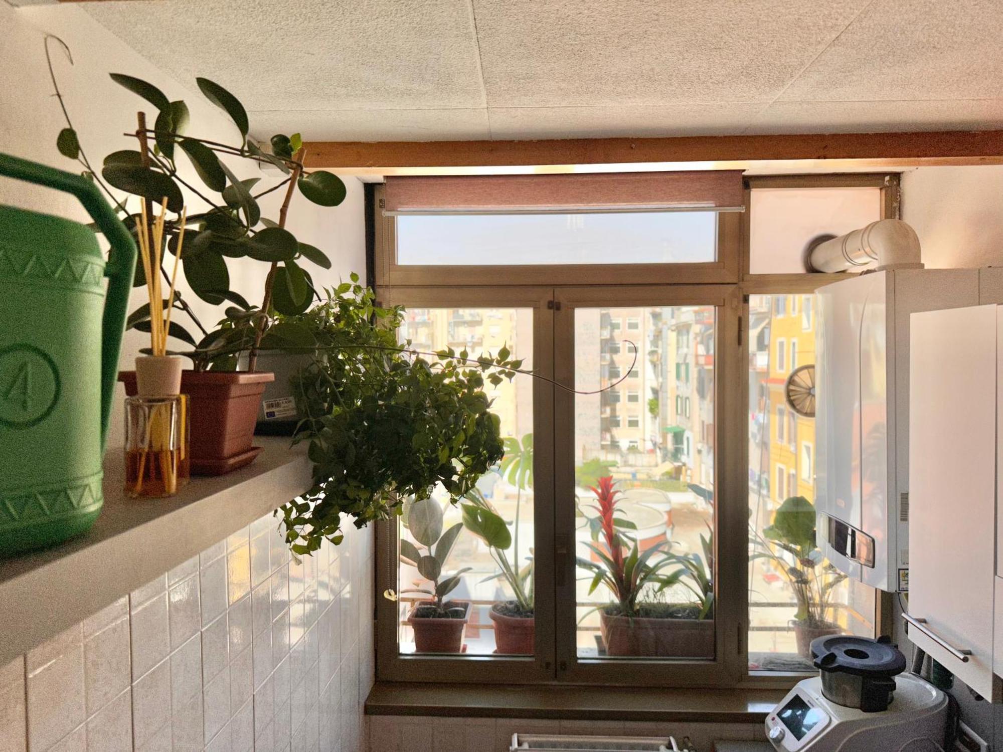Apartamento Grimaldi House