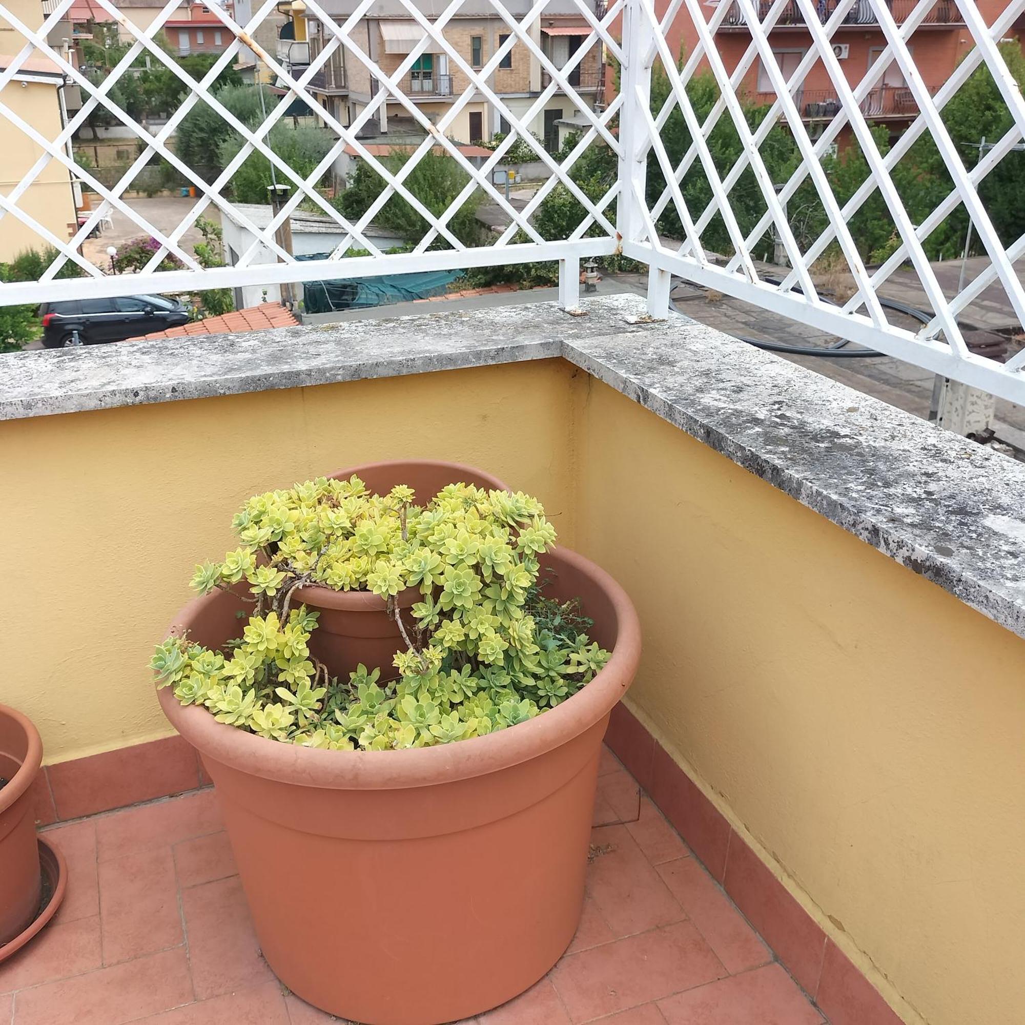 Apartamento Casilina