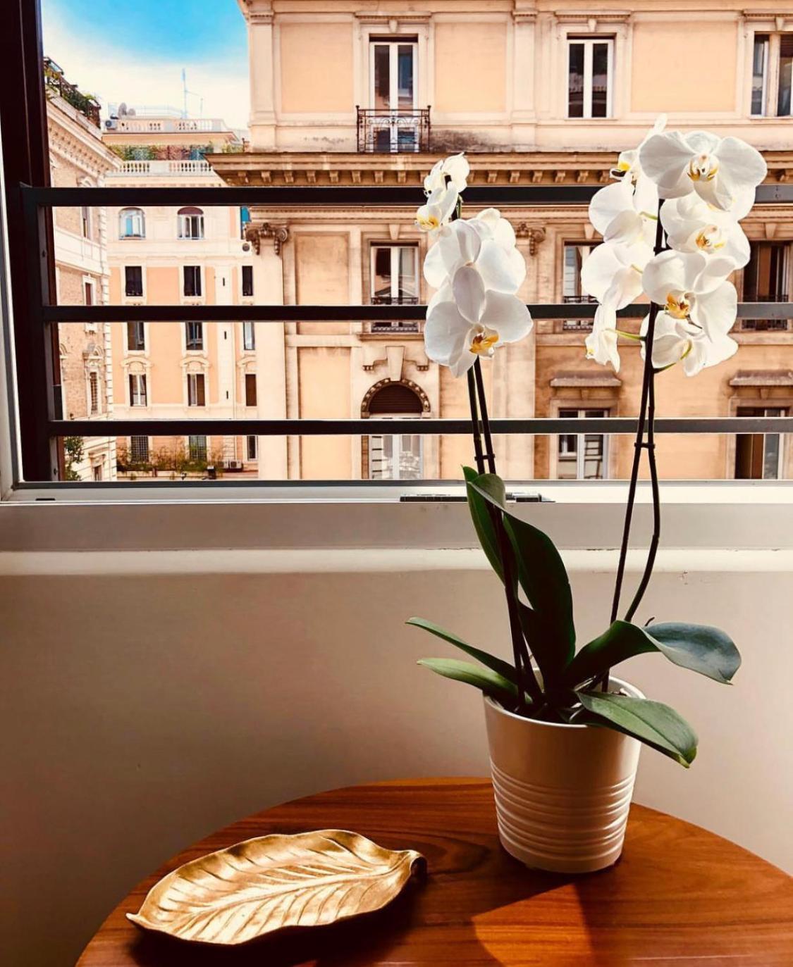 900 Piazza Del Popolo Bed & Breakfast