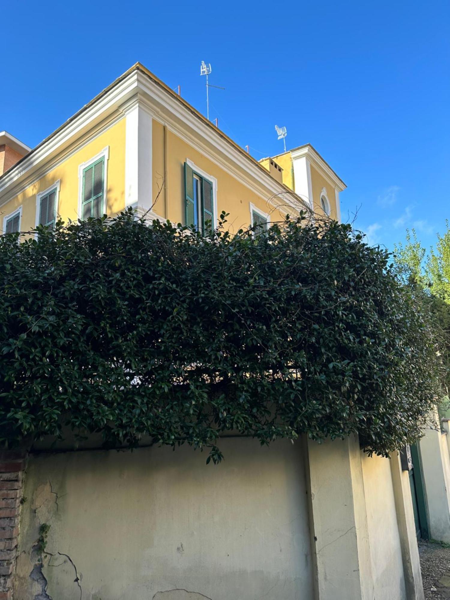 Appartamento The Vatican Jungle Loft Con Giardino Vicino Al Vaticano Roma