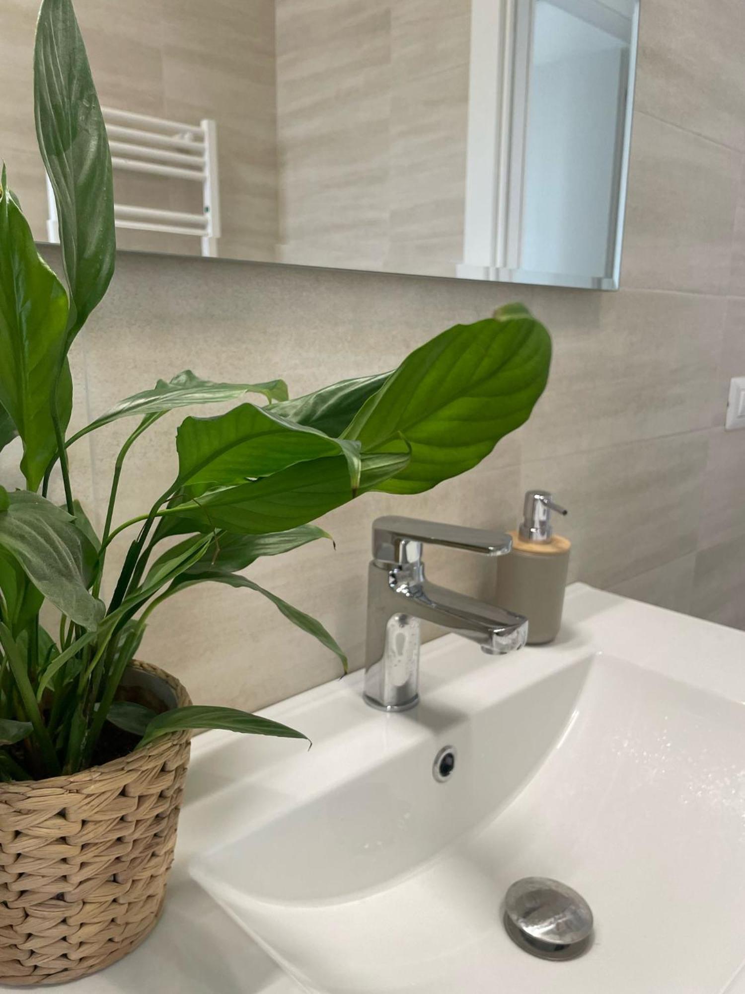 Apartamento La Terrazza Roma