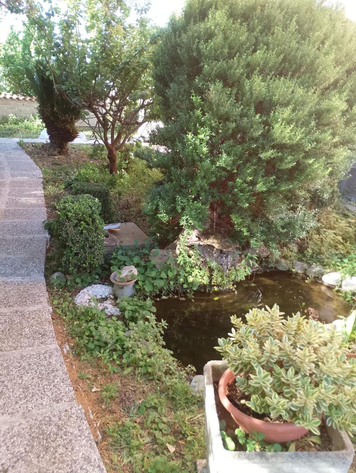 Apartment Domus Dora Rome
