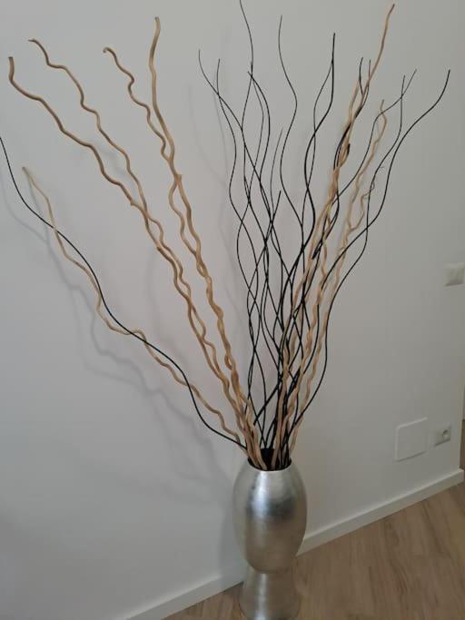 Apartamento Domus 95 Roma