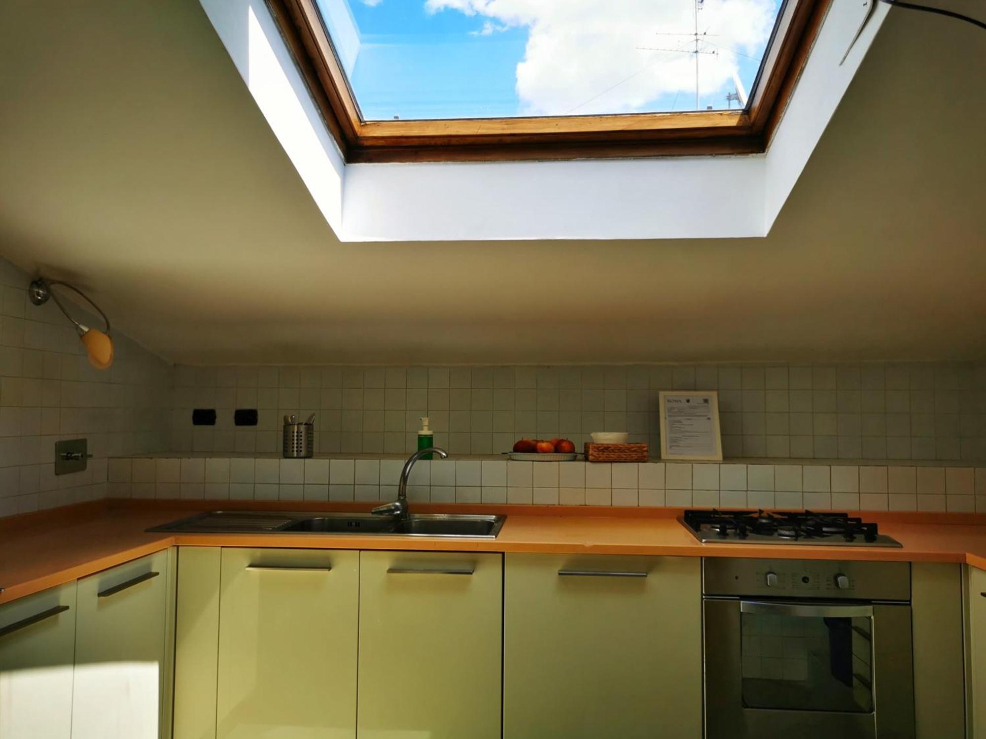 Attic Garden