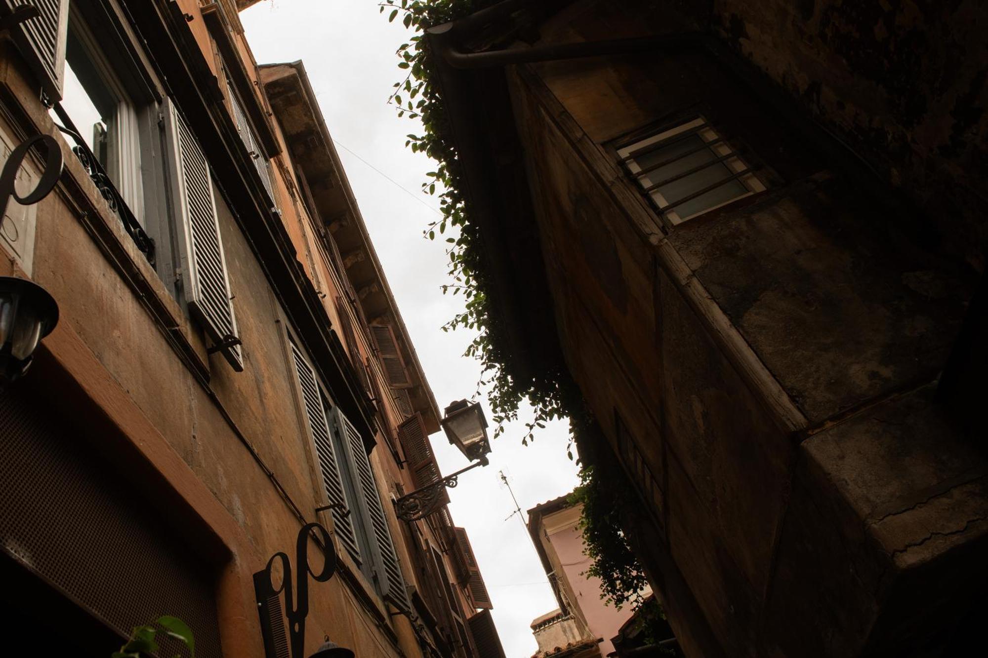 Colosseum View * Roma