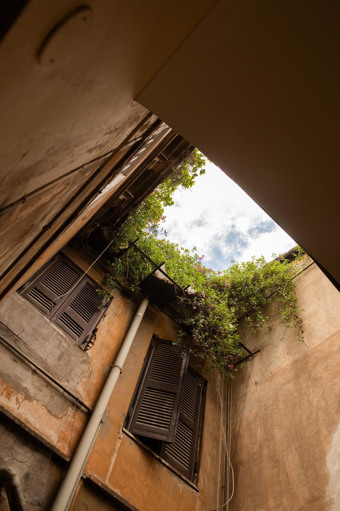 Colosseum View *