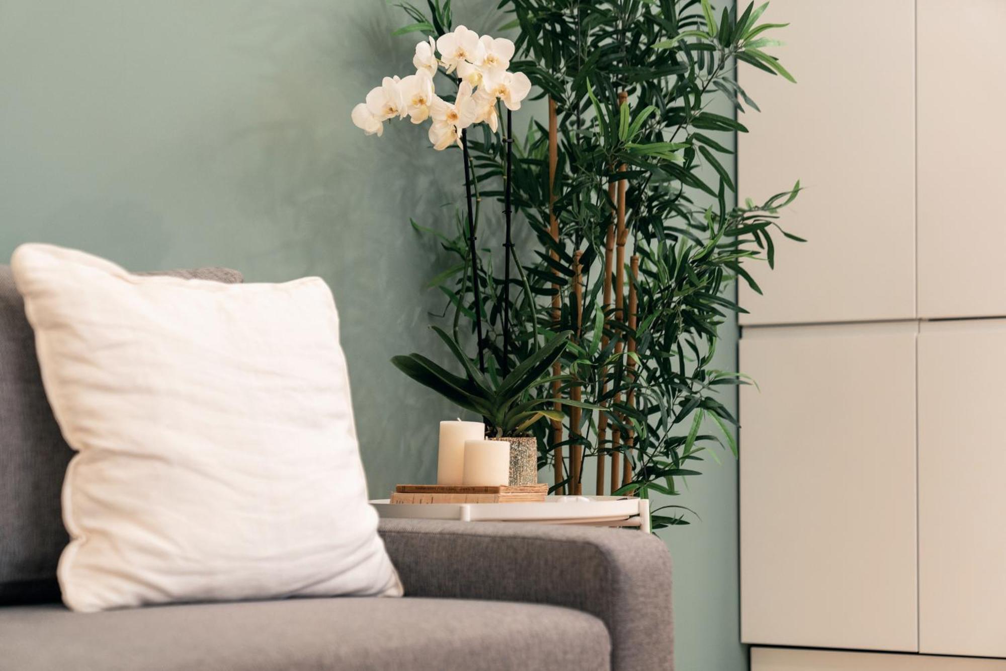 Emma Bliss Apartment