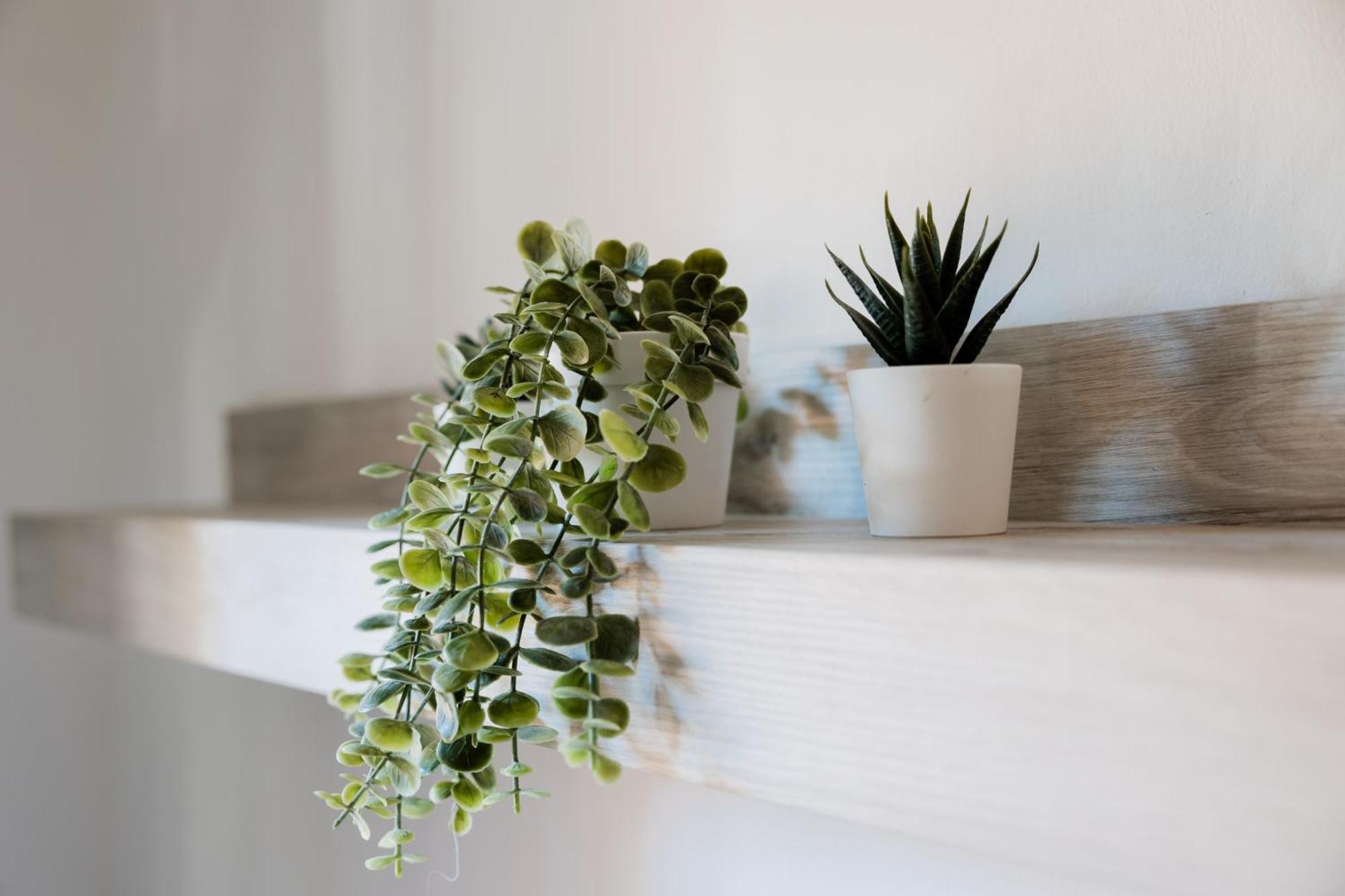 Apartamento Montagnola Mini House Roma