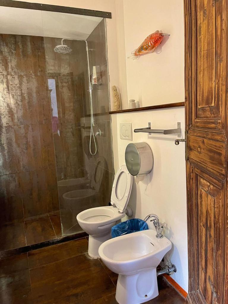 Il Plancton Roma