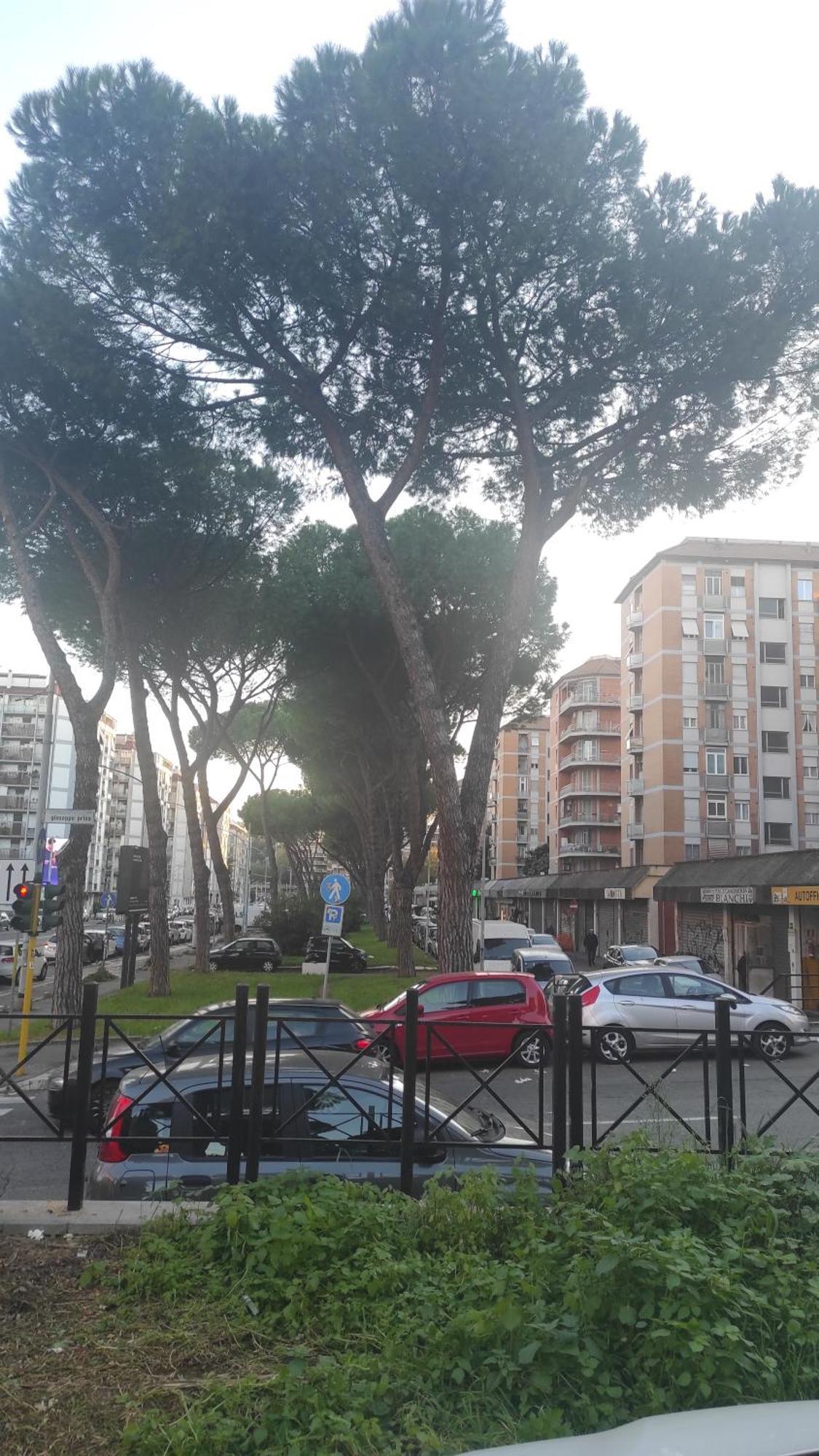 Apartamento Vimercati 45 *