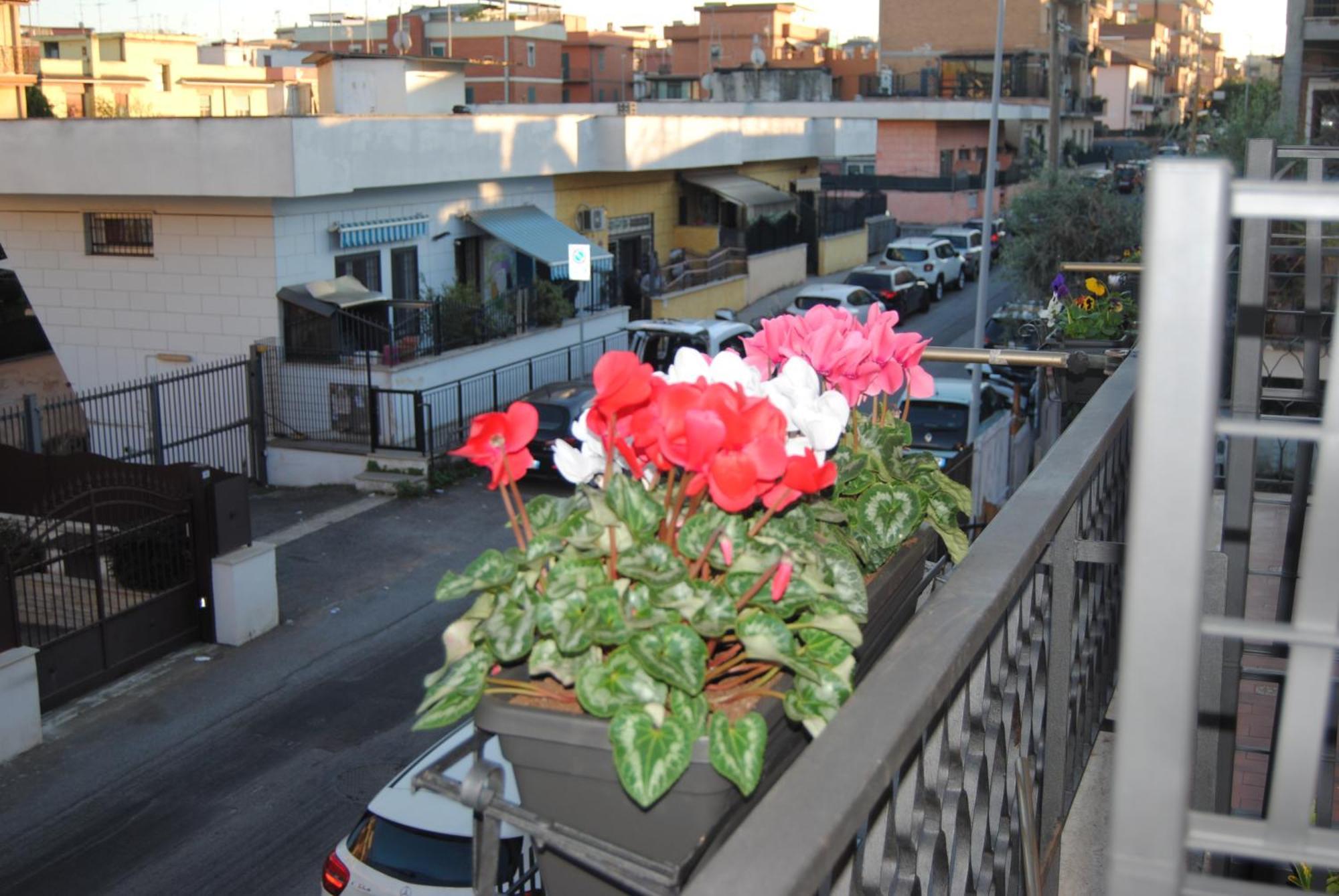 Little Gardens