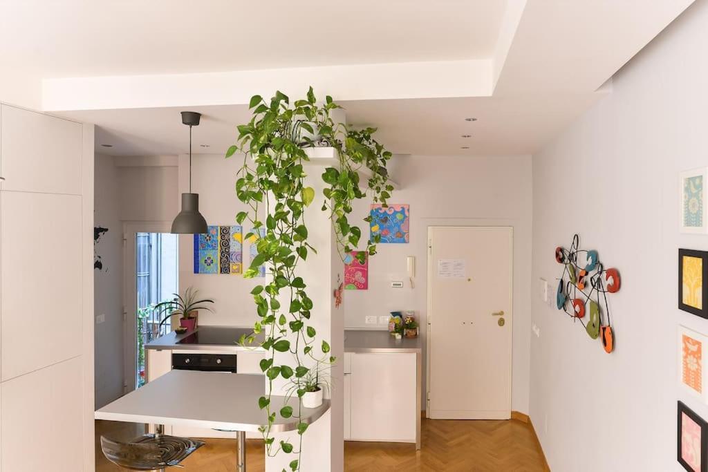 Boutique Flat *