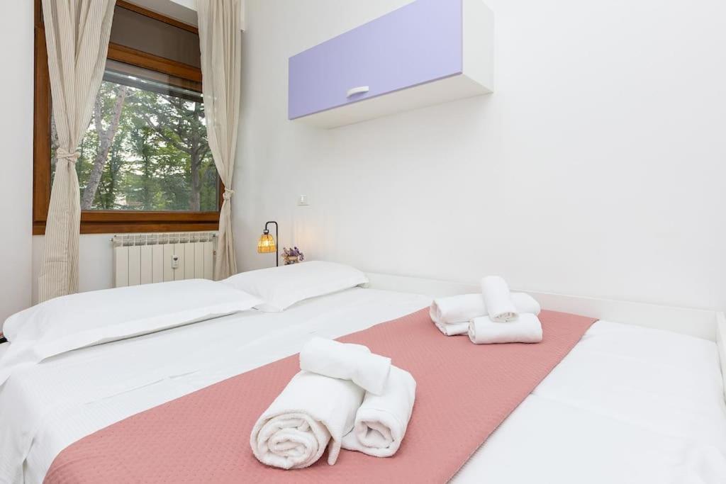 Casa Nel - Oasi Di Relax E Comfort A * Roma