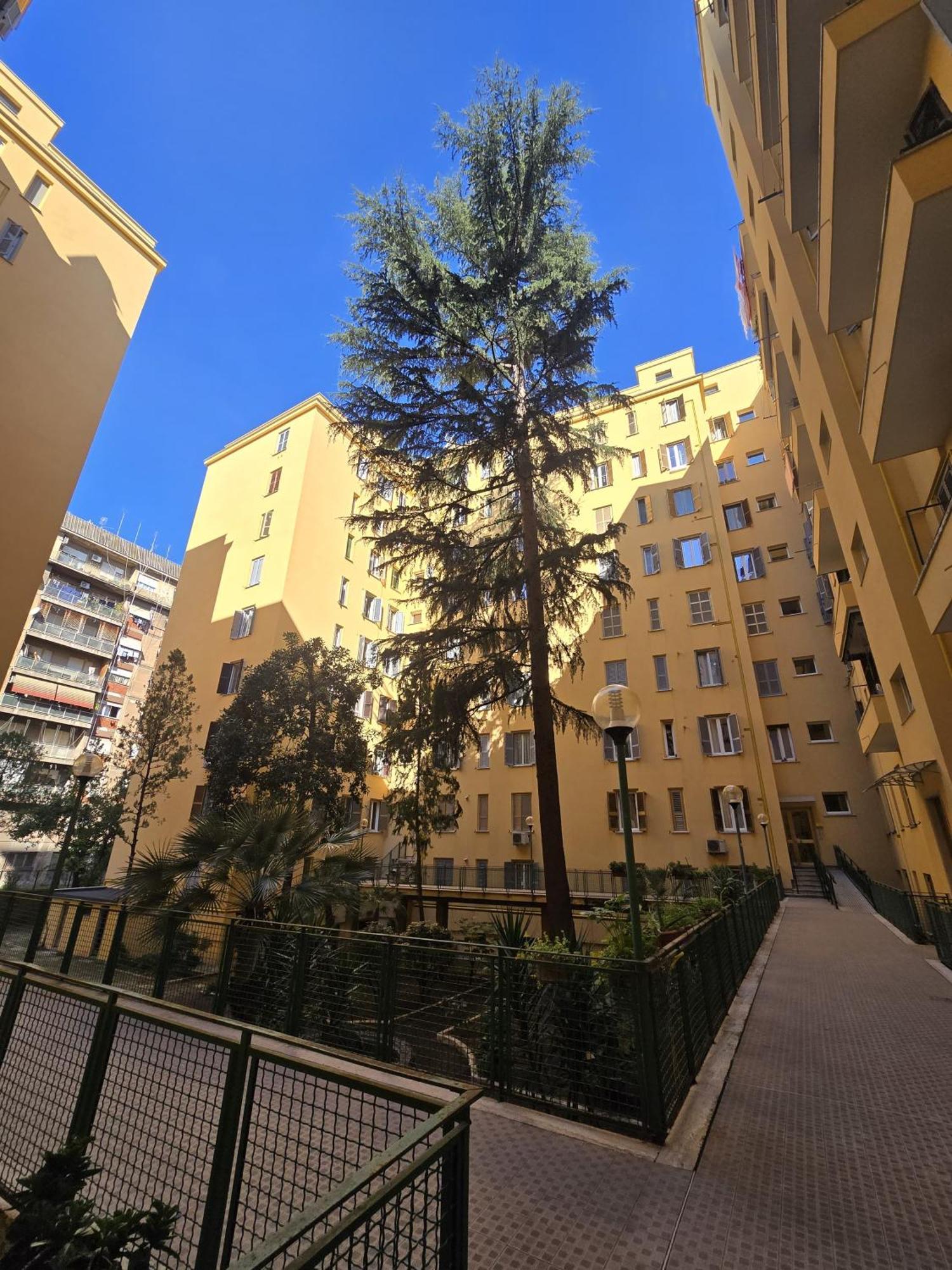 Angolo * Roma
