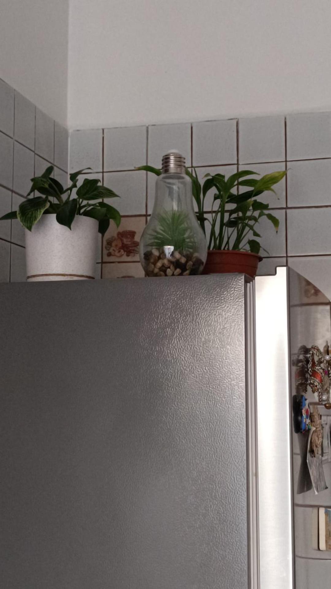 Gemelli Garden House Appartamento *