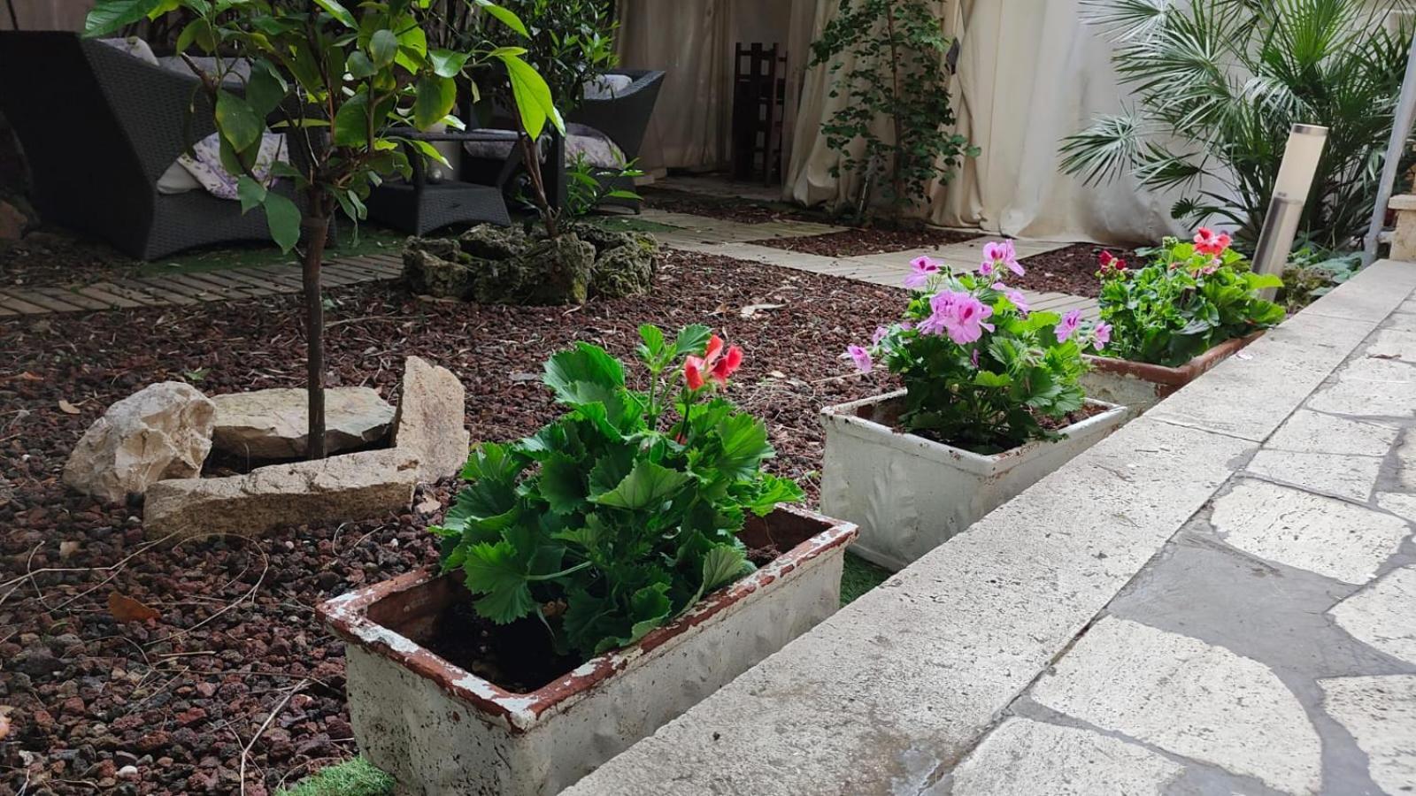 Garden Casa Kangen Holiday home Rome