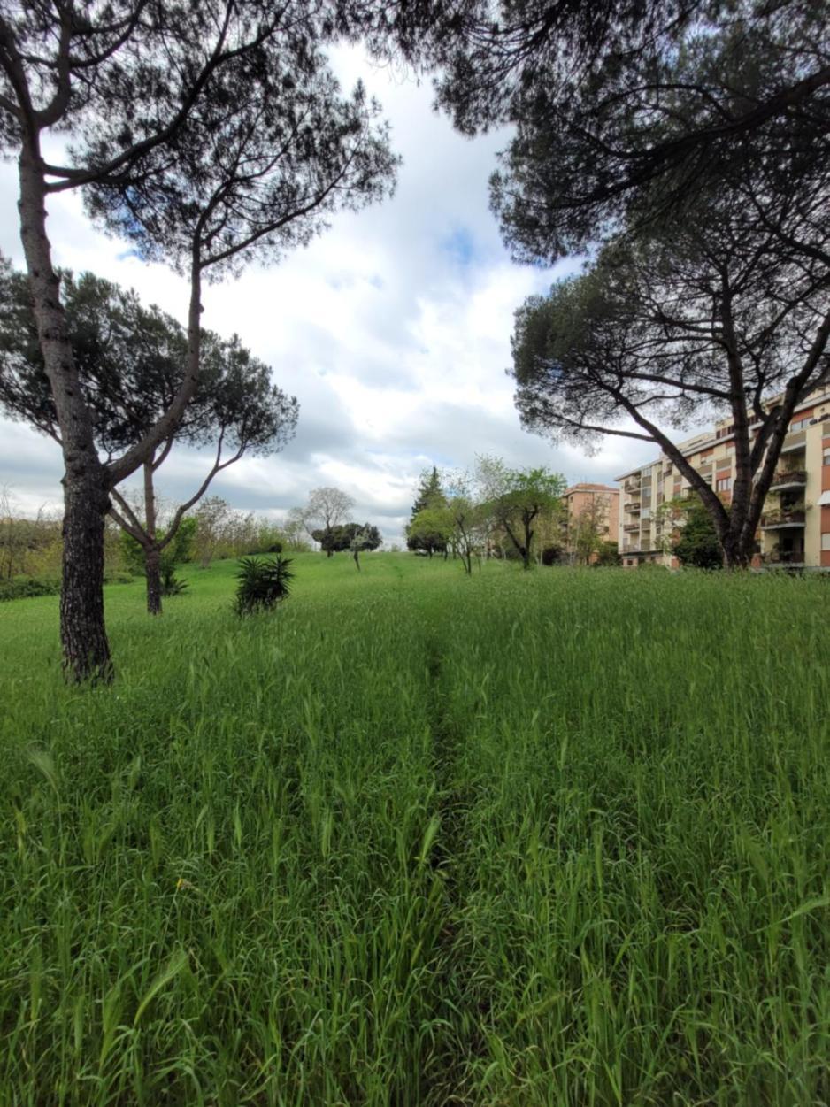 Panoramico Eur Apartment *