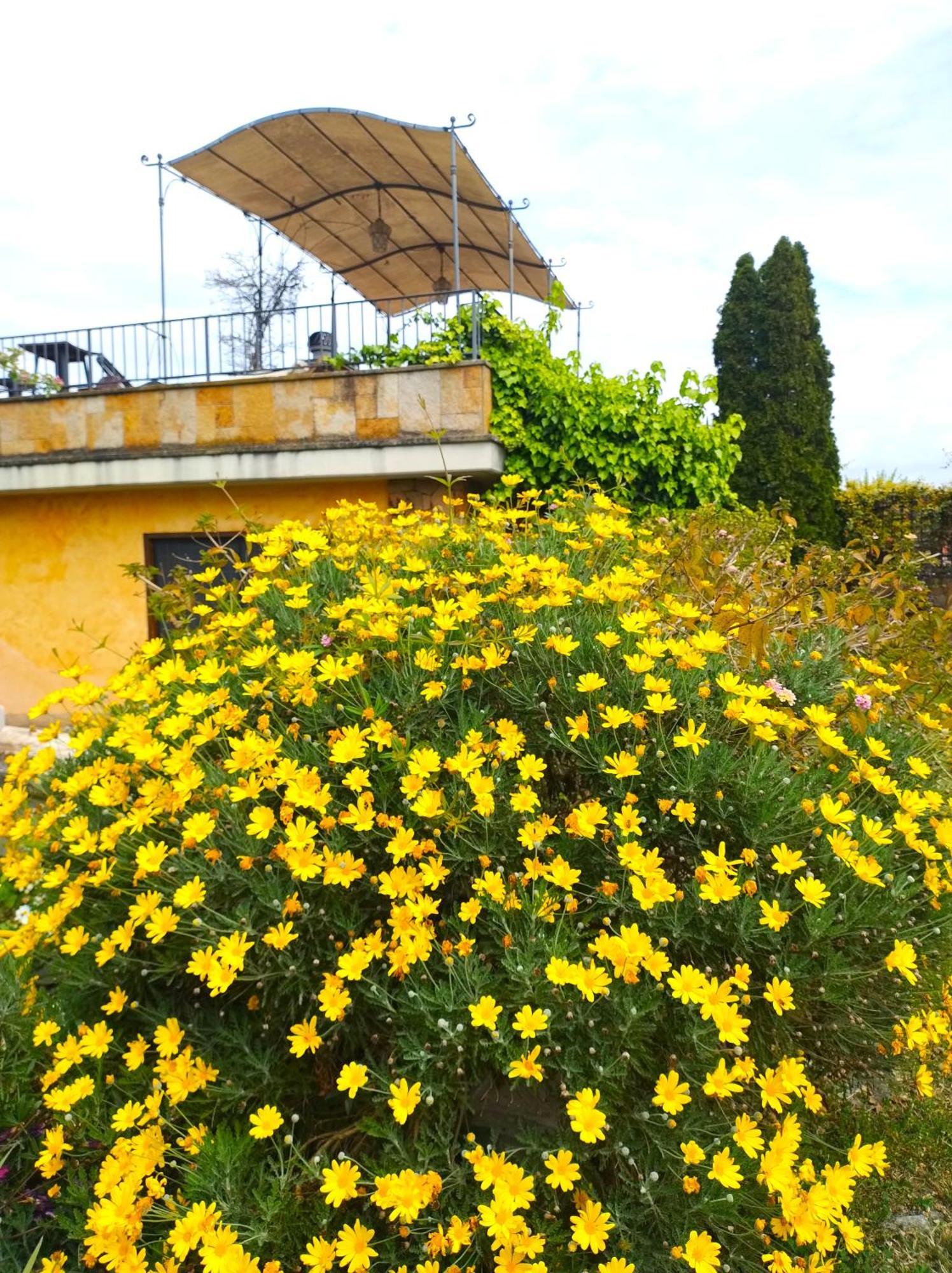 Alojamento de Acomodação e Pequeno-almoço La Valle Dei Casali Com