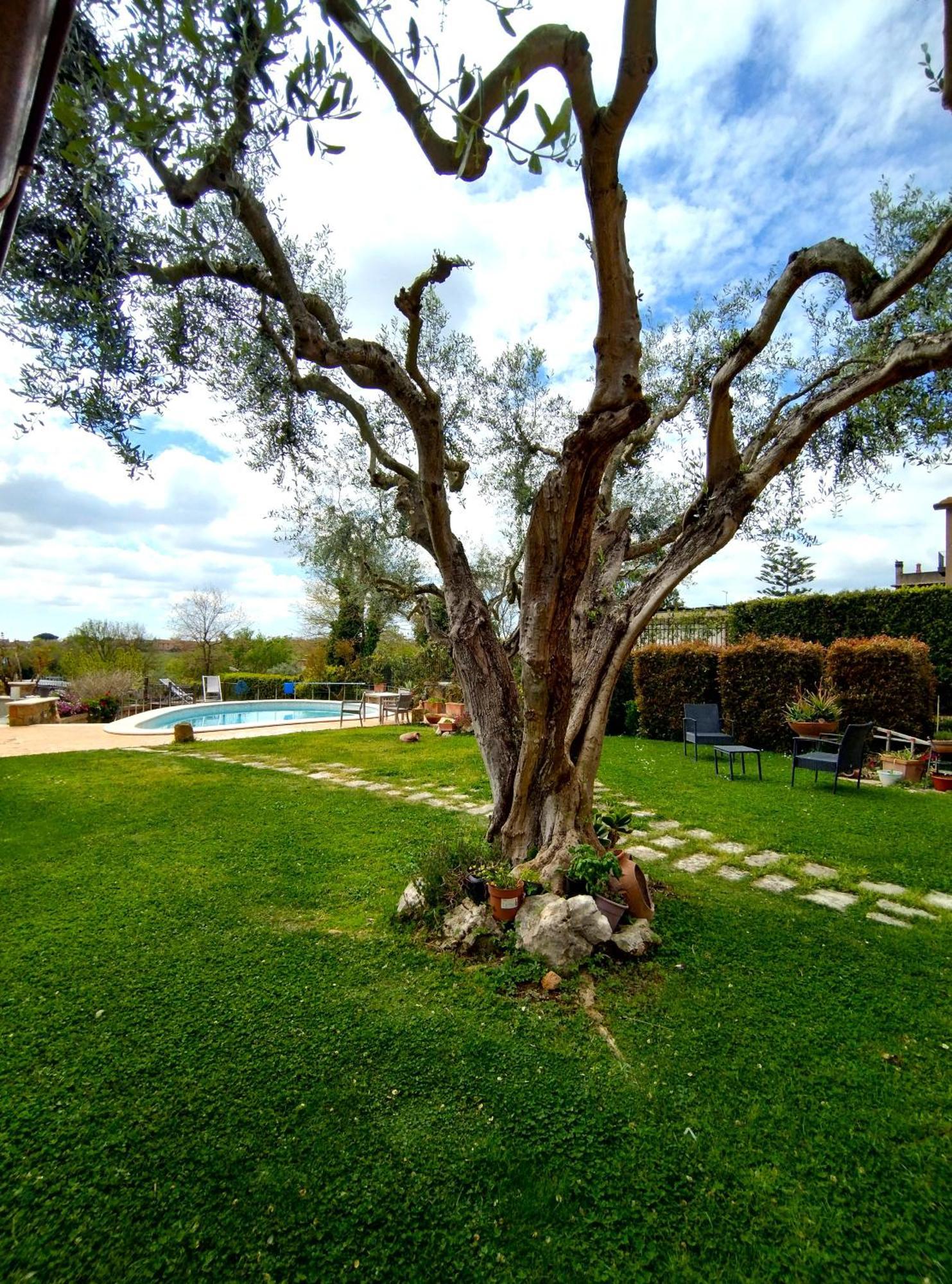 Alojamento de Acomodação e Pequeno-almoço La Valle Dei Casali Com Roma