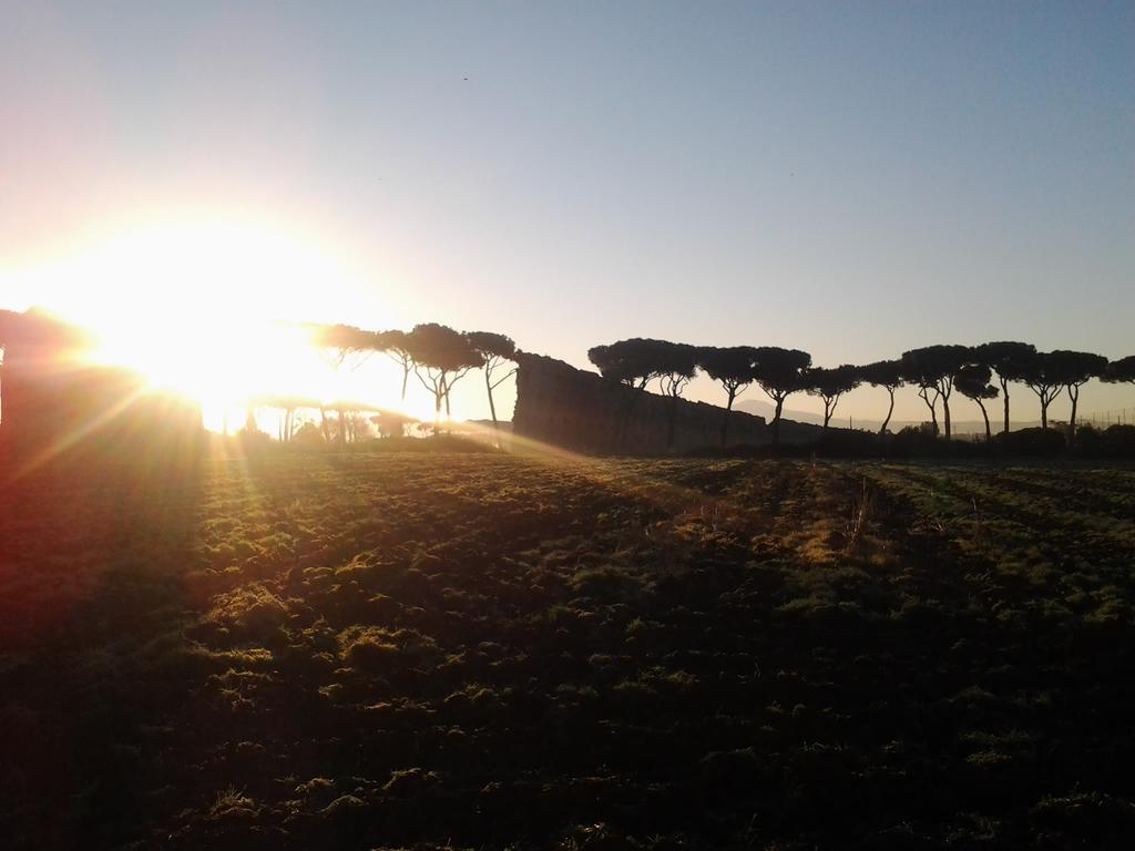 Al Settimo Cielo Bed & Breakfast Rome