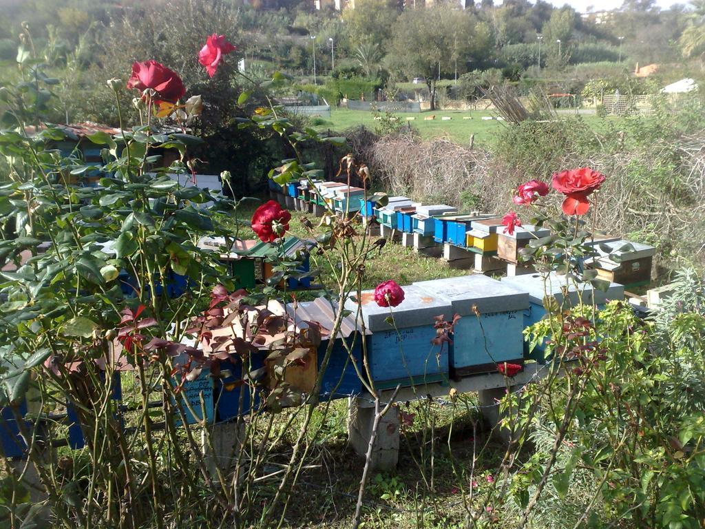 Il Giardino Di Gabri Bed & Breakfast