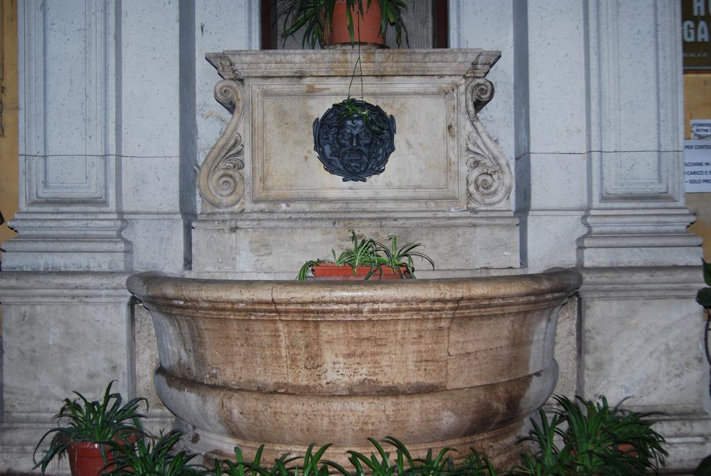 Bed & Breakfast Royal Roma