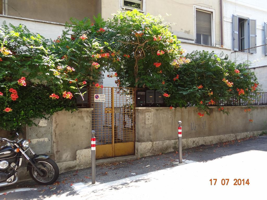 Gjestgiverier In Isole