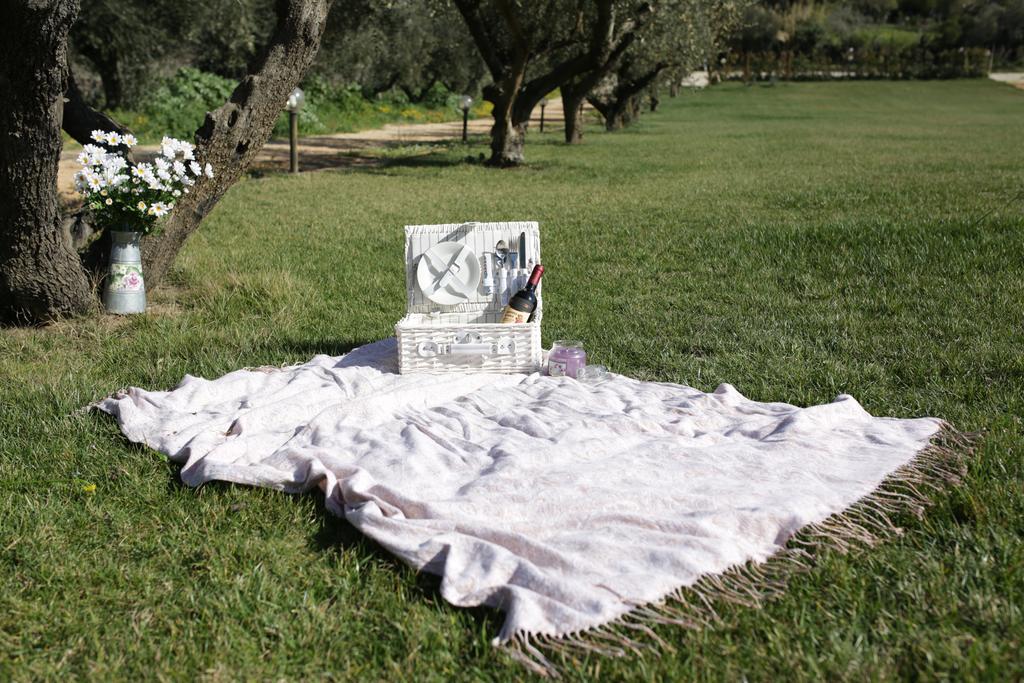 Grappoli Di Sole Alloggio per agriturismo