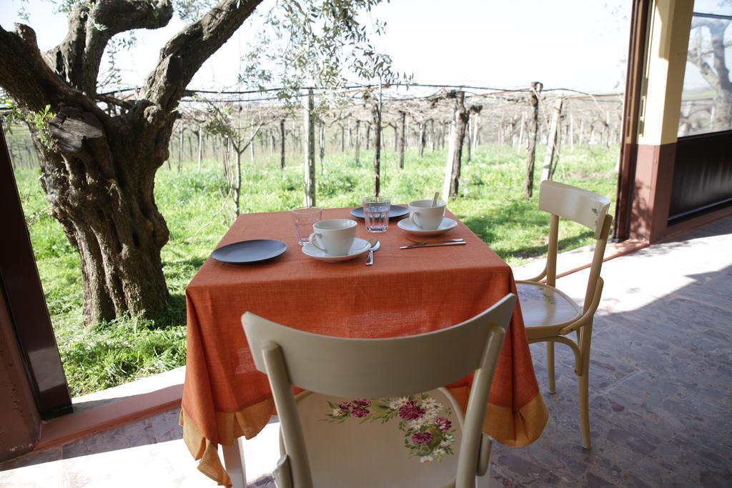 Alloggio per agriturismo Grappoli Di Sole