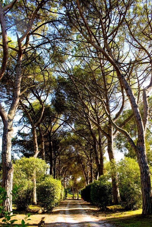 Casa de Campo Silj *