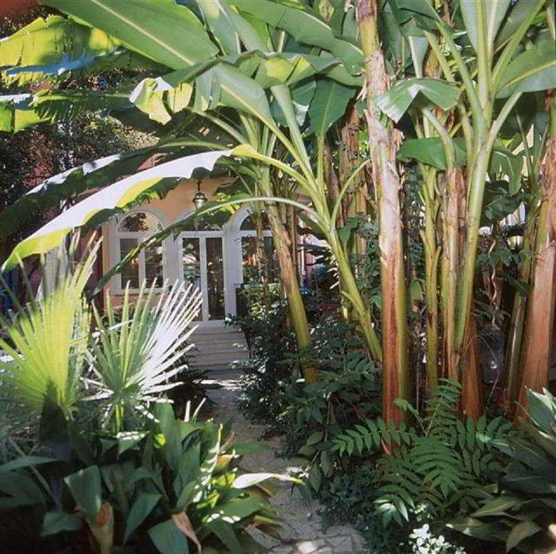 Hotel Astoria Garden Roma