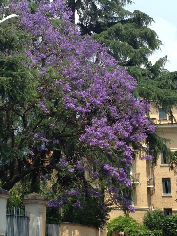 In Isole Gjestgiverier Roma