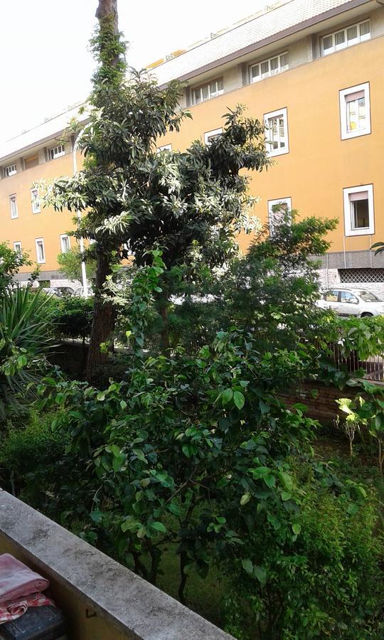 Bed & Breakfast Livinghouse Roma