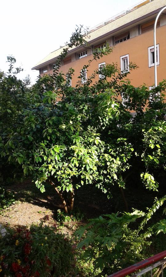 Bed & Breakfast Livinghouse Roma