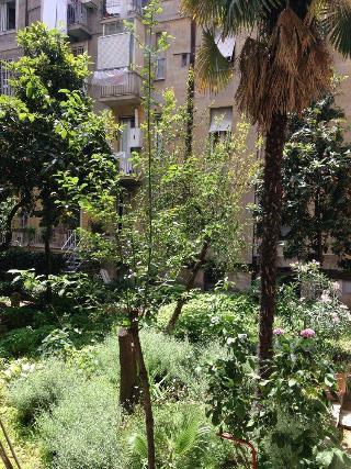 Rona 2* Rome
