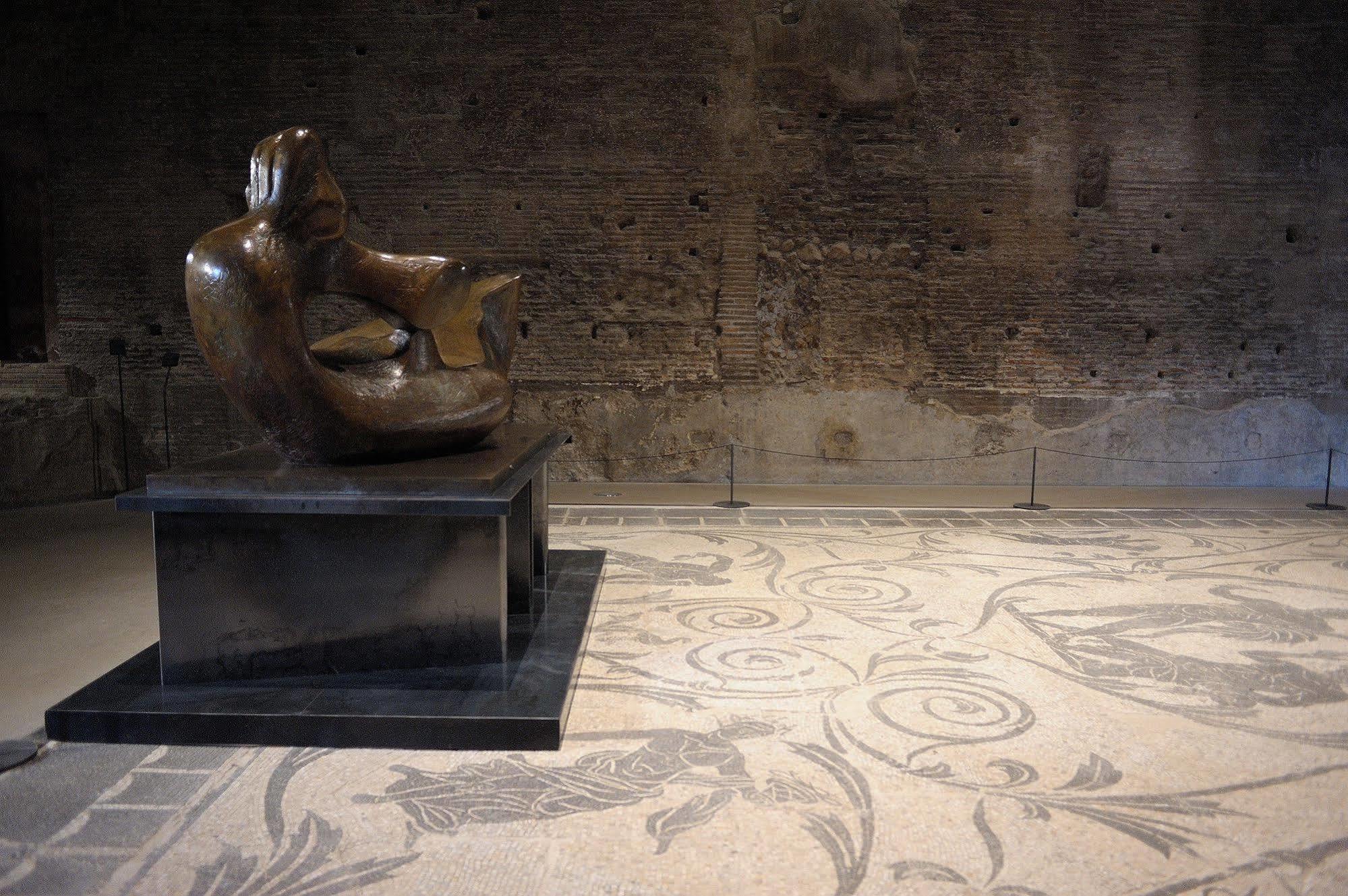Aquarius Roma
