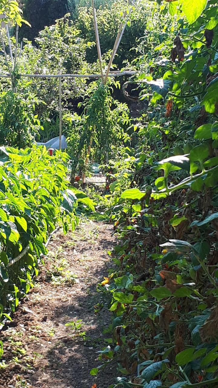 Il Giardino Di Gabri Bed & Breakfast