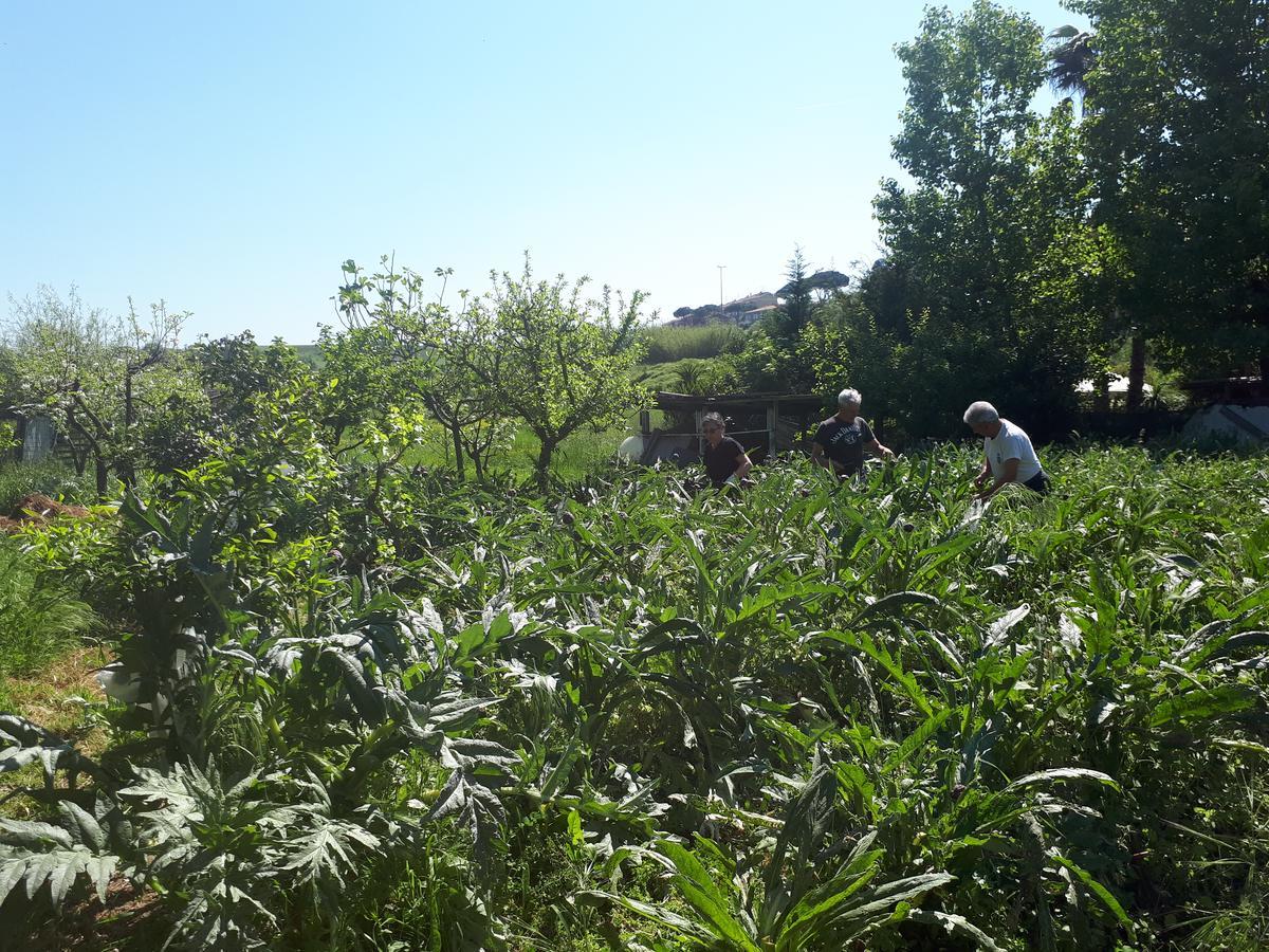 Bed & Breakfast Il Giardino Di Gabri Rome