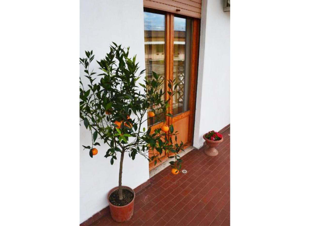 Casa Celeste Affittacamere