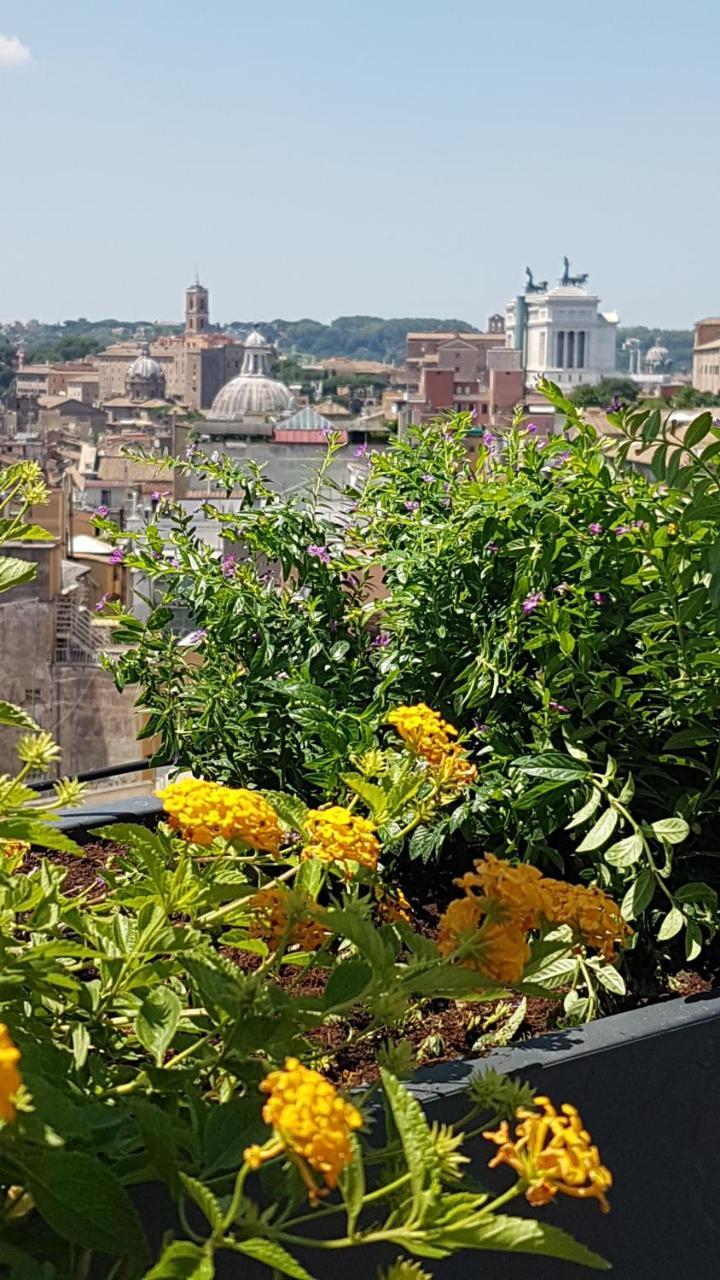 Hotel Monti Palace 4*
