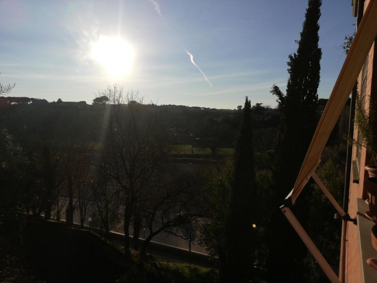 Bed & Breakfast La Mimosa Roma