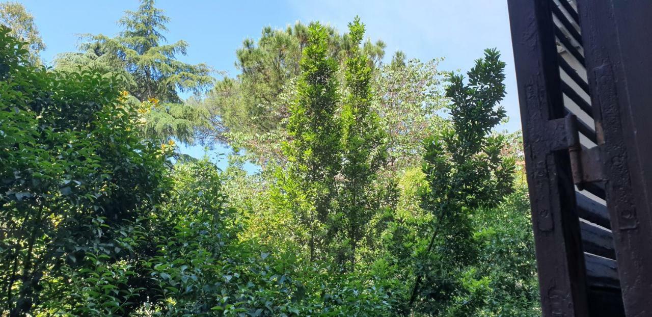 La Breccia A Porta Pia Bed & Breakfast 3*