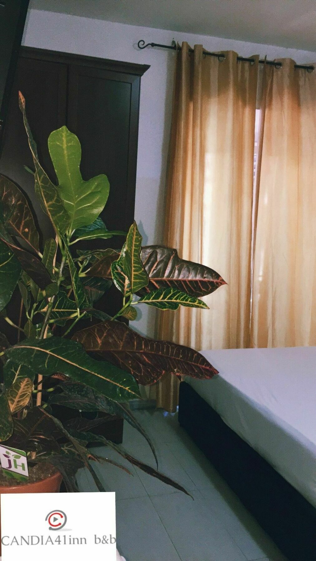 Candia41 Bed & Breakfast Roma