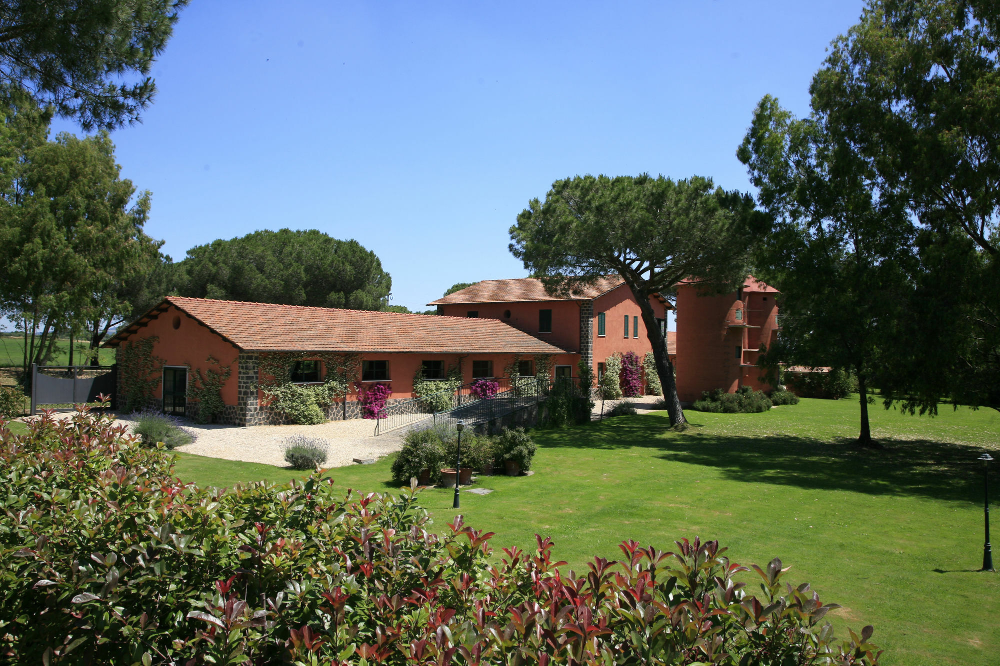 Riserva Dell'olmo * Roma