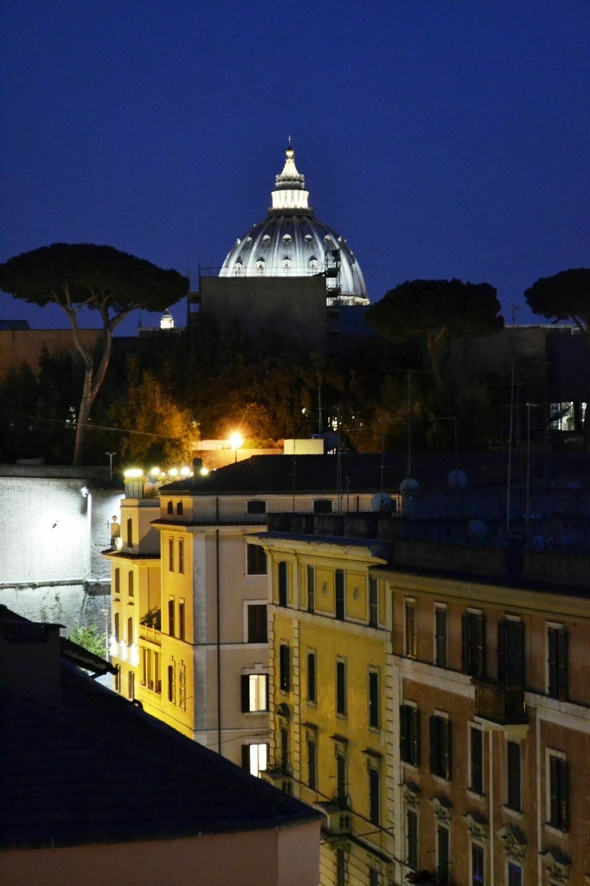 Notti Al Vaticano Deluxe St.peter's Appartamento *