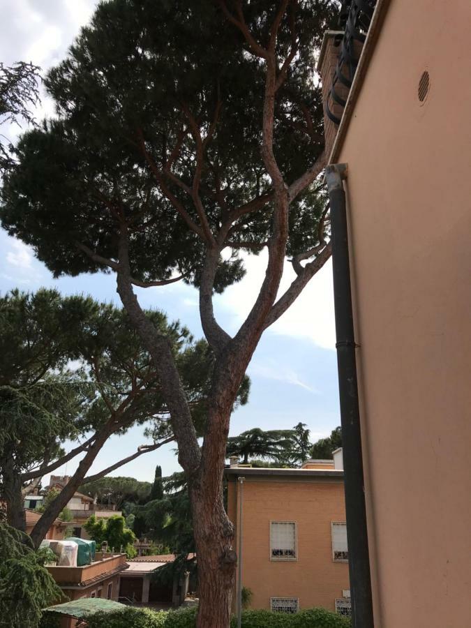 Agli Acquedotti Romani *