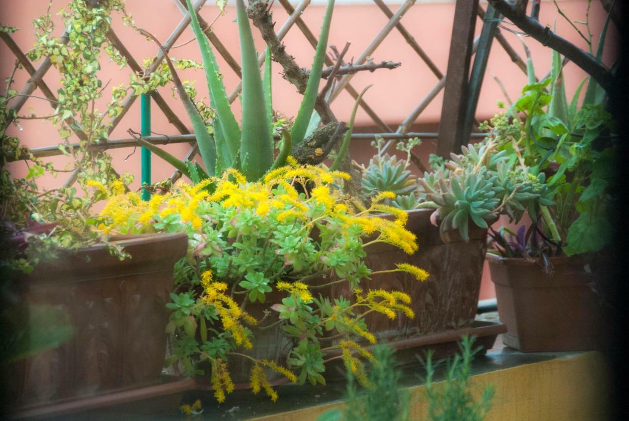 Appartamento Fiore *